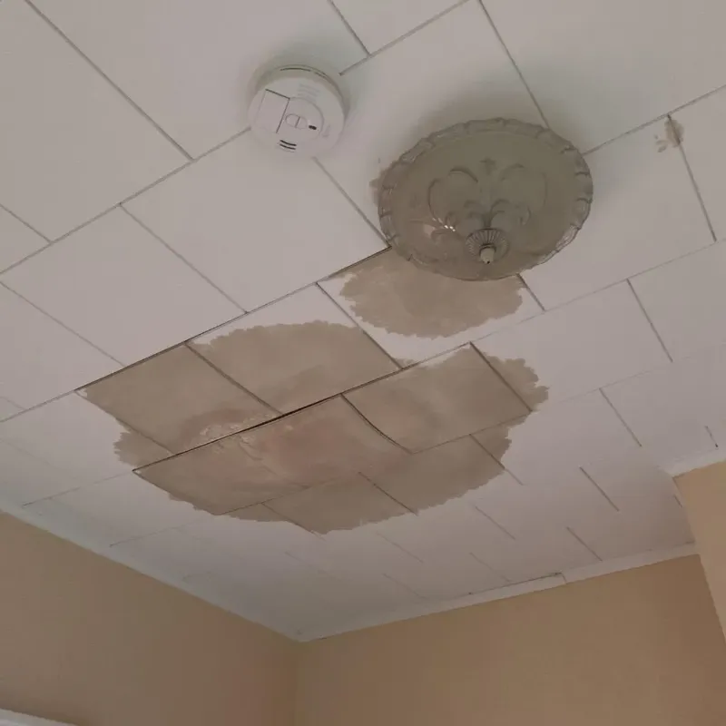Ceiling Water Damage Repair in Hamburg, AR
