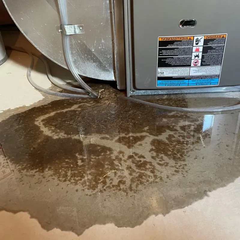 Pipe Burst and Leak Restoration in Hamburg, AR